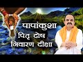पापांकुशा पितृ दोष निवारण दीक्षा