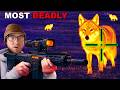 Hunting Down America S Deadliest Predator Thermal Hunting