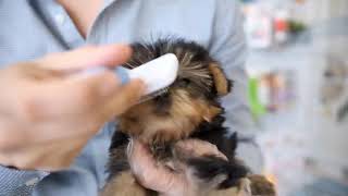 MASTERPET PETSHOP MAĞAZA TANITIMIMIZ