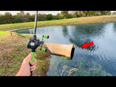 I Caught My BIGGEST Bass In 2020 (Huge Fish!)
