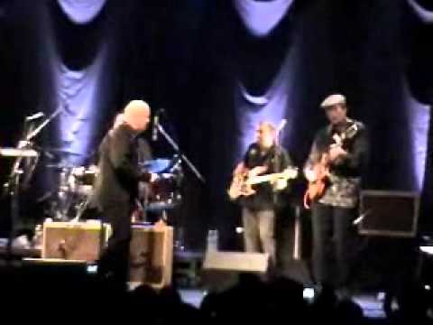 Kim Wilson - My Babe.wmv