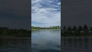 Download lagu STORY WA 30 DETIK||TERBARU 2022 mp3