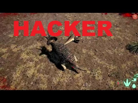 SUPLADO | THE ISLE | HACKER