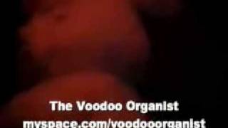 Voodoo Organist