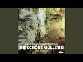 Die schöne Mullerin, Op. 25, D. 795: Pause