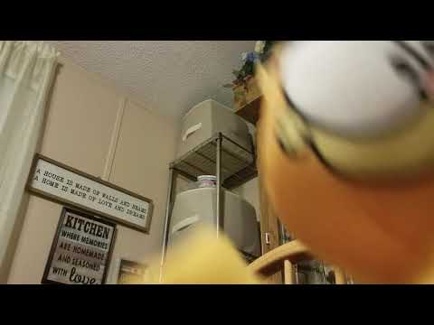 ODIE'S IMPRESSION|GARFIELD AND FRIENDS|ADULT SWIM