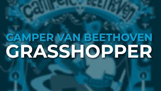 Camper Van Beethoven - Grasshopper (Official Audio)