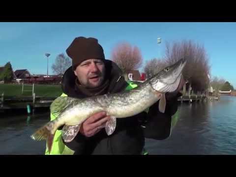 Balzer Matze Koch Wobbler Part 1