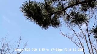 Canon EF-S 17-55mm f/2,8 IS USM (1242B005) - відео 10