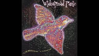 Widespread Panic - Up All Night Live in Camden 8/21/2009
