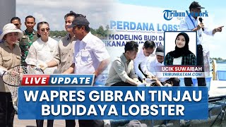 Wapres Gibran Apresiasi Panen Perdana Lobster BPBL Batam, Dorong Ekonomi Biru untuk Indonesia Maju