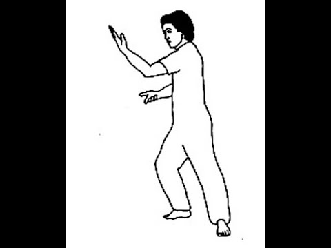 Tai Chi 13er Form nach Mantak Chia