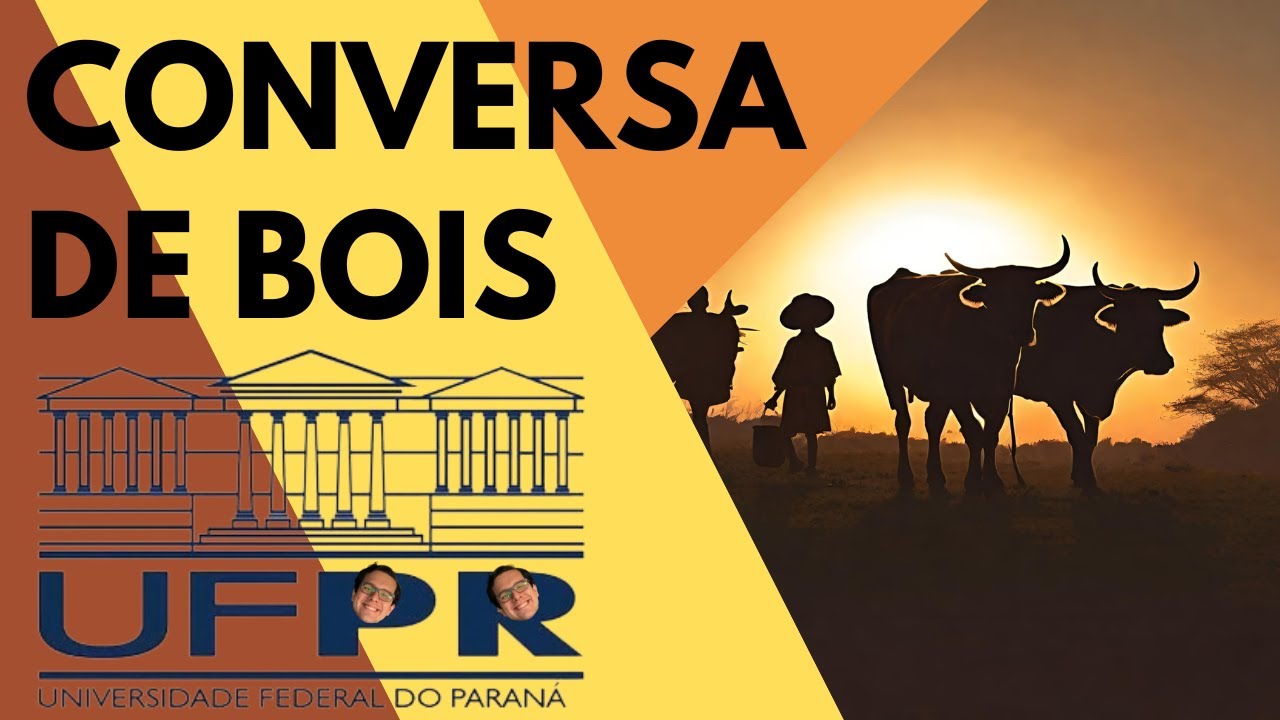 "Conversa de Bois" de Guimarães Rosa, resumo e análise do conto de "Sagarana" (UFPR 2023)