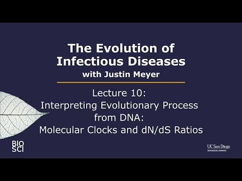 The Evolution of Disease Diagnosis | Vibepedia