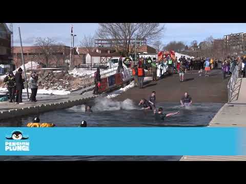 2025 Special Olympics Vermont Penguin Plunge: Acrisure, BCC Beta Fish