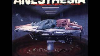 Anesthesia - Emperor Time