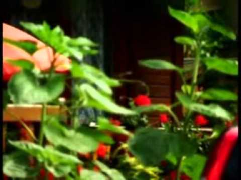 Ośrodek Wypoczynkowy "RELAKS"