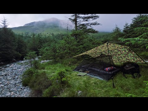 Alone in a Mountain Forest | Wild Camping with the British Army Basha