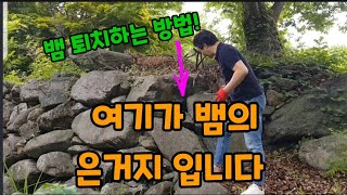 뱀 퇴치! 저는 이 방법으로  100프로 해결 했습니다! #뱀퇴치 #뱀퇴치하는방법 #뱀이싫어하는것 #뱀못오게…