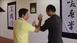 Black Flag Wing Chun Tutorial 3: Wing Chun Bong Sao / 膀手 Technique based on Maximum Efficiency