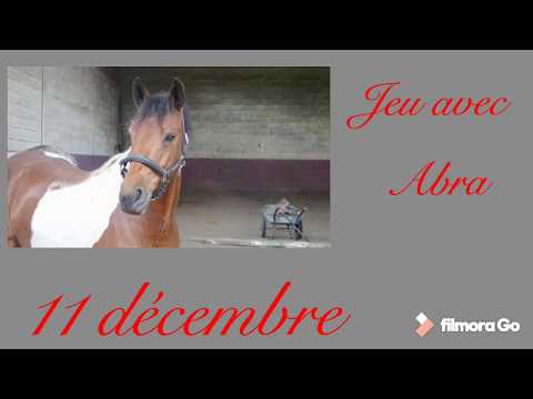 Jeu à grand poney à cru ! 😁