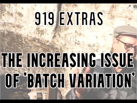 ralfy review 919 Extras - Our problems with 'batch variations'