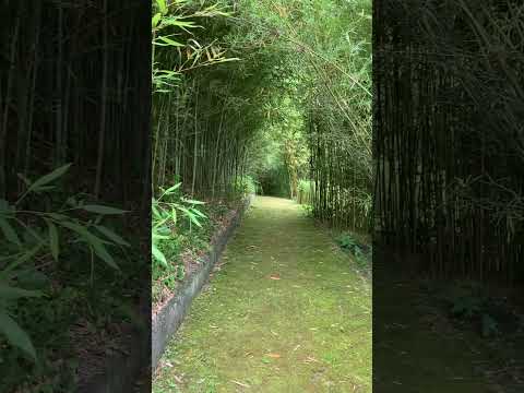 外装カーテンは、空間を装飾しながら保護するのに役立ちます。選び方はこちら！  庭園