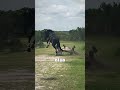 How Serious Can It Be If A Horse Kicks You Satisfying Knowledge Facts