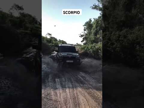 New Scorpio classic s11 🖤🐎🐎 #scorpio #motivation #shorts #blackscorpio #scorpiolovers02 #ytshorts