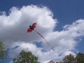 Big Bat Kite From China