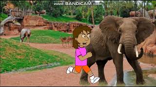 Dora Misbehaves At The Field Trip/Grounded