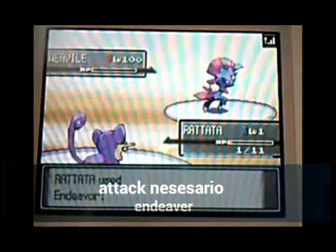 Pokémon como fazer um ratata matar um pokemon nive
