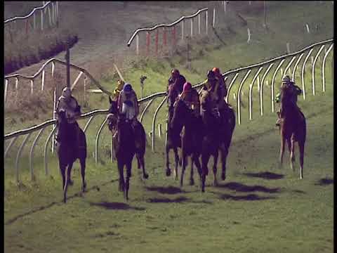 Galoppo 05/02/2019 - 5ª corsa