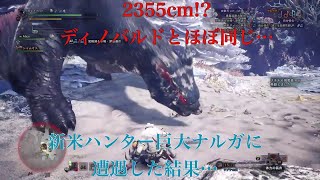 【MHW I】過去最大級のナルガクルガ現る⁉︎その大きさはなんと…