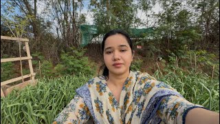 Sitara yaseen new vlog 