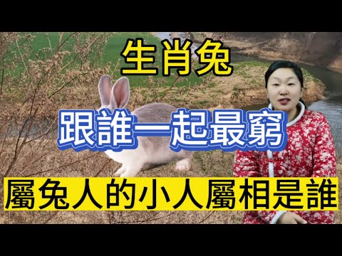 兔相合生肖