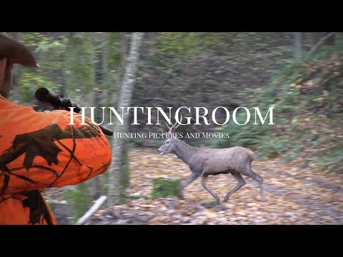 Drückjagden in Deutschland - DER FILM Sauen, Rotwild, Muffel, Rehe 2020 | HOD–Die ersten 10 Minuten