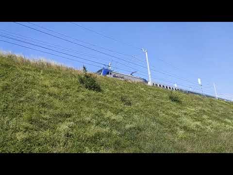 Ptaszki pięknie śpiewają i nagle przelatuje MEWA z Warszawy / IC 18106 / 25.06.2022