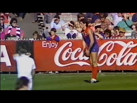 Frank Rugolo - 1986, Rd 19 - Melbourne v Geelong