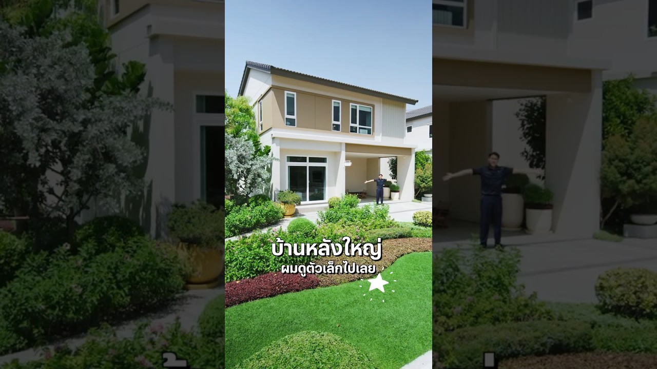 YouTube Shorts TMfLU8ockvk