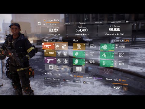 Best DPS Build For Division 1 PVP