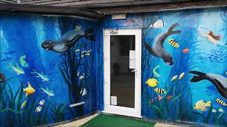 Underwater Seals mural
