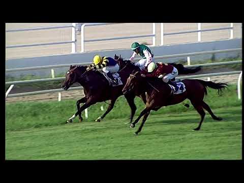 Napoli Galoppo 24/07/2021 - 3ª corsa