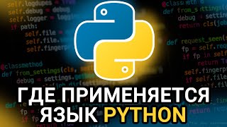 Python — видео обзор