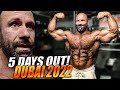 FORMCHECK 5 DAYS OUT - DUBAI 2022 - Steve Benthins Entladetraining