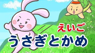 英語絵本 英語朗読 読み聞かせ 字幕付き|The Rabbit and The Tortoise/うさぎとかめ【Fairy Tales in English】