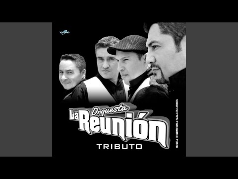 Tributo a la Salsa: Aquí Estás Otra Vez / Te Amo por Tu Sencillez / Lluvia / Ven Devórame...