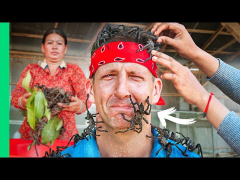 Asian Food Nightmare!! Cambodia’s Insect Eating Obsession!!
