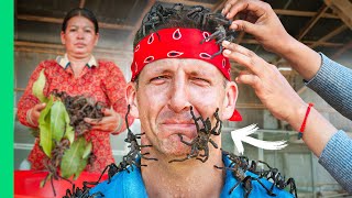 Eating 1,000,000 Ants!! Cambodia’s Insect Obsession!!
