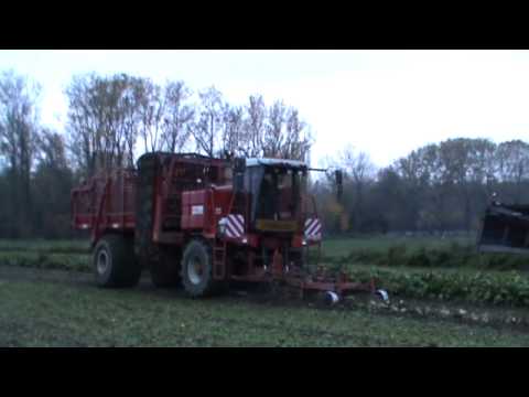 Loonw. Lernout - Ieper